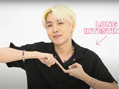 BTS hand gesture "long intestines"