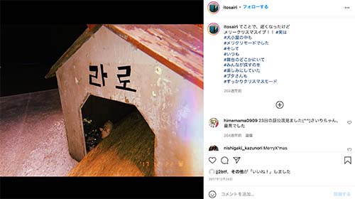 伊藤沙莉のSNSで韓国語で書かれた犬小屋が公
開