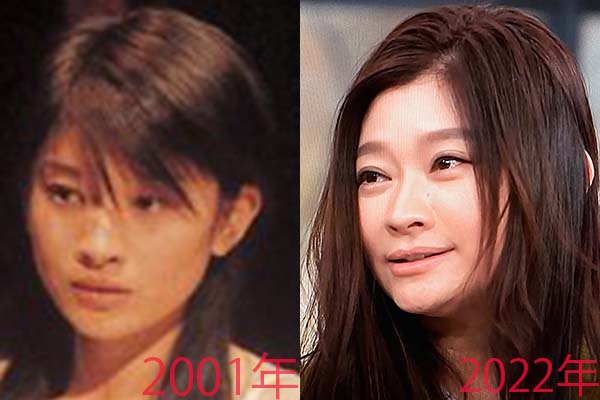 篠原涼子の顔変化　20代の時と現在